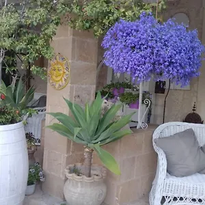 A Lumia Noto